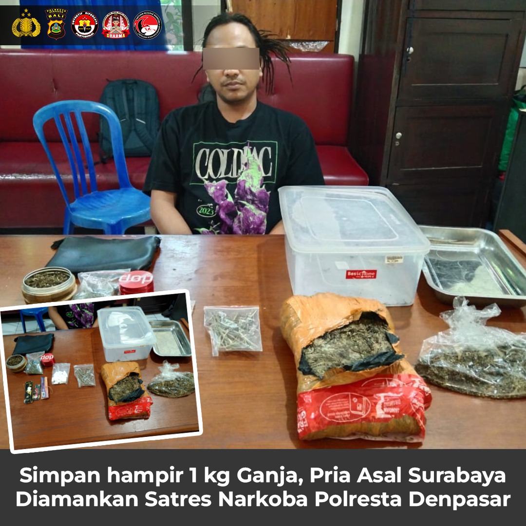 Barang bukti ganja yang ditemukan dalam penggeledahan terhadap tersangka SKF di Sibang Gede, Abiansemal, Badung.