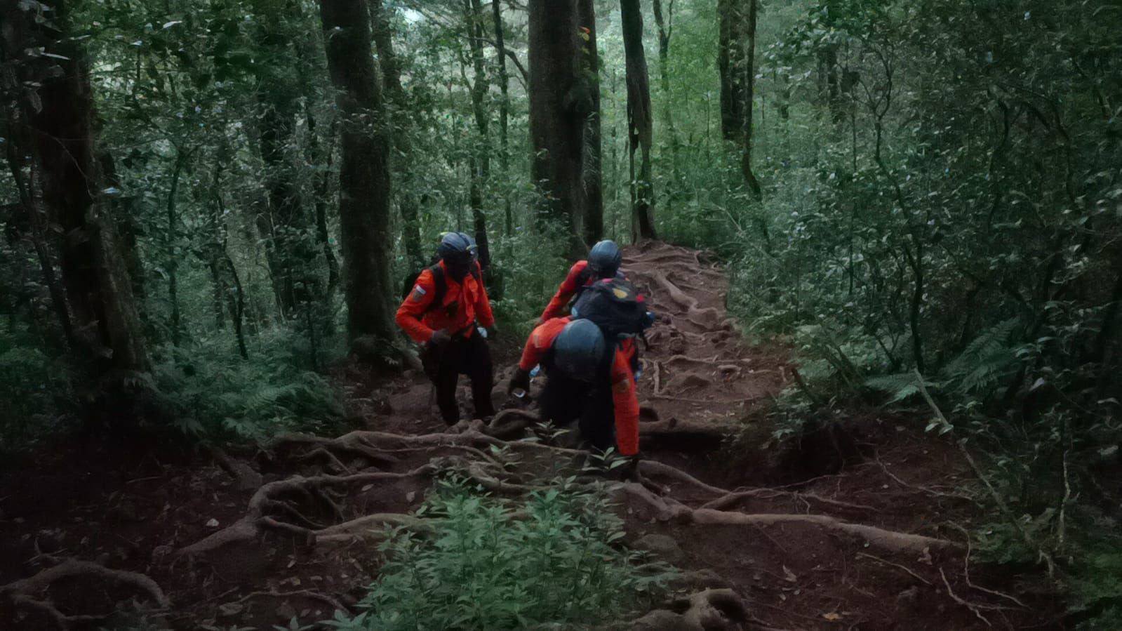 SAR team searching for missing hikers on Mount Batukaru, Tabanan, Bali.