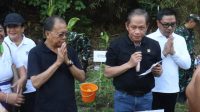 Sekda Bali Lepas Jalan Sehat Pekan Pengadaan, Dorong UMKM Lokal