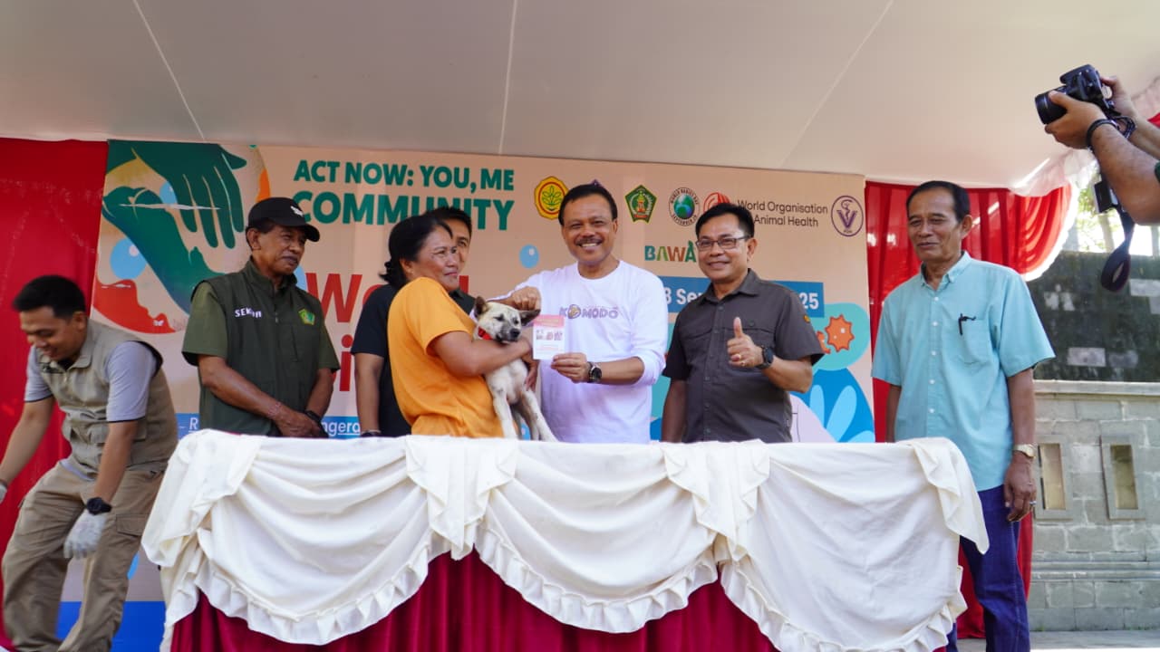 Pemerintah Provinsi Bali terus menggencarkan langkah pencegahan rabies, mengingat Pulau Bali masih berstatus zona merah wabah tersebut. Salah satu fokus utama penanganan saat ini berada di Kabupaten Jembrana yang tercatat memiliki kasus gigitan hewan penular rabies (HPR) cukup tinggi. Sekretaris Daerah Provinsi Bali, Dewa Made Indra, menegaskan pentingnya kesadaran masyarakat untuk segera mendatangi fasilitas kesehatan apabila tergigit hewan penular rabies, seperti anjing, kucing, maupun monyet. “Intinya harus segera datang ke fasilitas kesehatan terdekat. Jika kesadaran ini terbentuk dengan baik, tidak ada lagi orang meninggal akibat rabies,” ujar Dewa Indra saat menghadiri peringatan World Rabies Day di Rest Area Desa Pengeragoan, Kecamatan Pekutatan, Jembrana, Minggu (28/9). Ia menjelaskan, kecepatan virus rabies menyebar dalam tubuh sangat dipengaruhi oleh letak gigitan. “Semakin tinggi letak gigitan, misalnya paha, pinggang, tangan, bahkan wajah, semakin cepat virus masuk ke otak dan mempercepat kematian. Karena itu, hanya tenaga medis yang berwenang menentukan seseorang terinfeksi rabies atau tidak,” tegasnya. Data menunjukkan, cakupan vaksinasi HPR di Jembrana relatif lebih rendah dibandingkan kabupaten lain di Bali. Sepanjang Januari–September 2025, rata-rata terjadi 550 kasus gigitan anjing setiap bulan, dengan 96 kasus positif rabies. Dari 51 desa/kelurahan di Jembrana, sebanyak 49 wilayah masih berstatus zona merah. Untuk itu, Pemprov Bali bersama Dinas Pertanian dan Ketahanan Pangan, Persatuan Dokter Hewan Indonesia (PDHI), serta berbagai pihak terkait menggencarkan vaksinasi HPR di Jembrana. “Pemkab Jembrana harus lebih cepat menyusun jadwal vaksinasi terutama di zona merah. Pemerintah provinsi siap mendukung dengan tenaga dan vaksin,” kata Dewa Indra. Ia optimistis, jika langkah ini dilakukan secara konsisten, Jembrana akan segera keluar dari zona merah. “Ketika Jembrana bebas rabies, kita bisa ajukan ke Kementerian Pertanian agar Bali tidak lagi ditetapkan sebagai daerah zona merah,” ujarnya. Sementara itu, Plt. Kepala Dinas Pertanian dan Ketahanan Pangan Kabupaten Jembrana, I Gusti Putu Mertadana, menekankan bahwa rabies masih menjadi ancaman serius. “Penanganan rabies harus menjadi tanggung jawab bersama pemerintah, swasta, dan organisasi masyarakat. Dengan vaksinasi massal, kita targetkan kasus rabies di Jembrana bisa ditekan secara signifikan,” pungkasnya.