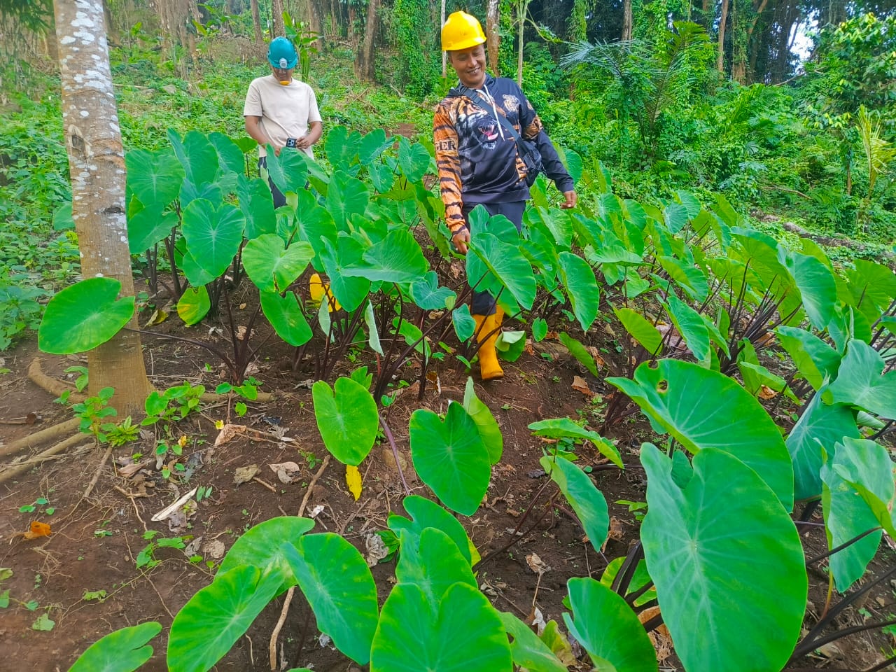 Petugas KPH Bali Utara memberikan klarifikasi terkait isu pembabatan hutan Desa Ambengan dan menjelaskan program perhutanan sosial yang berjalan di wilayah tersebut.
