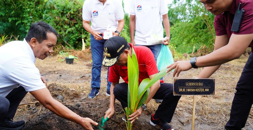Gubernur Bali Wayan Koster menanam bibit pohon kelapa daksina di kawasan Embung Tukad Unda Klungkung.