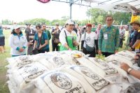 Pria Lansia Terjatuh ke Sumur di Denpasar Utara Dievakuasi Tim SAR